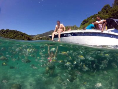 Angra dos Reis and Ilha Grande: Small-Group Fast-Boat Tour