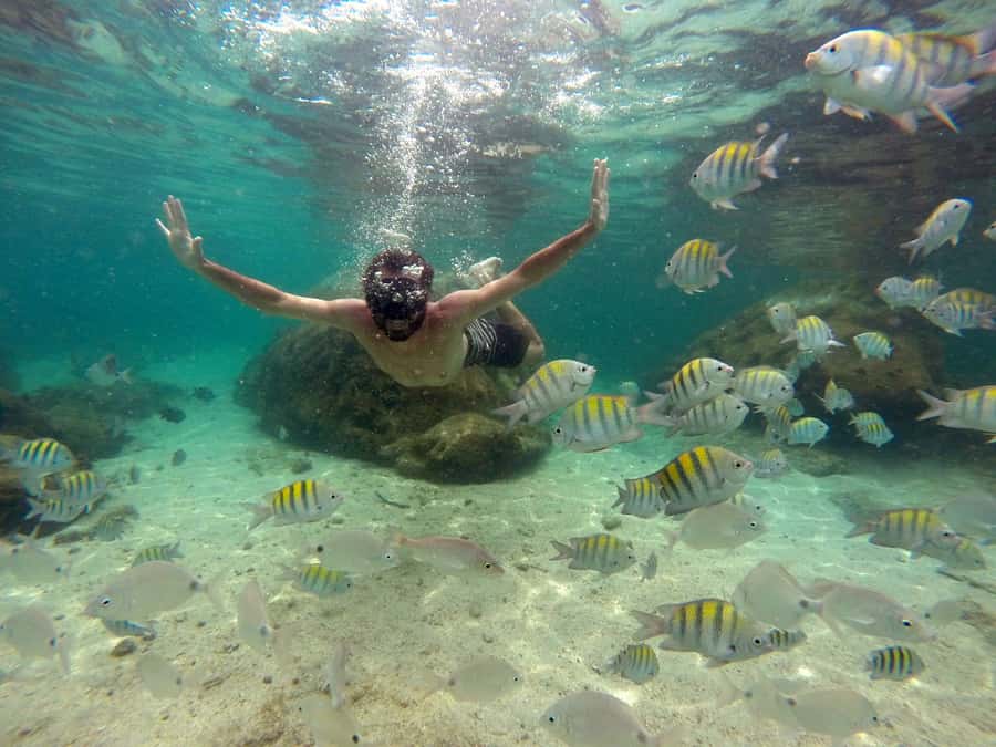 Angra dos Reis and Ilha Grande: Small-Group Fast-Boat Tour - Food, drinks, snorkeling, and the upgrade