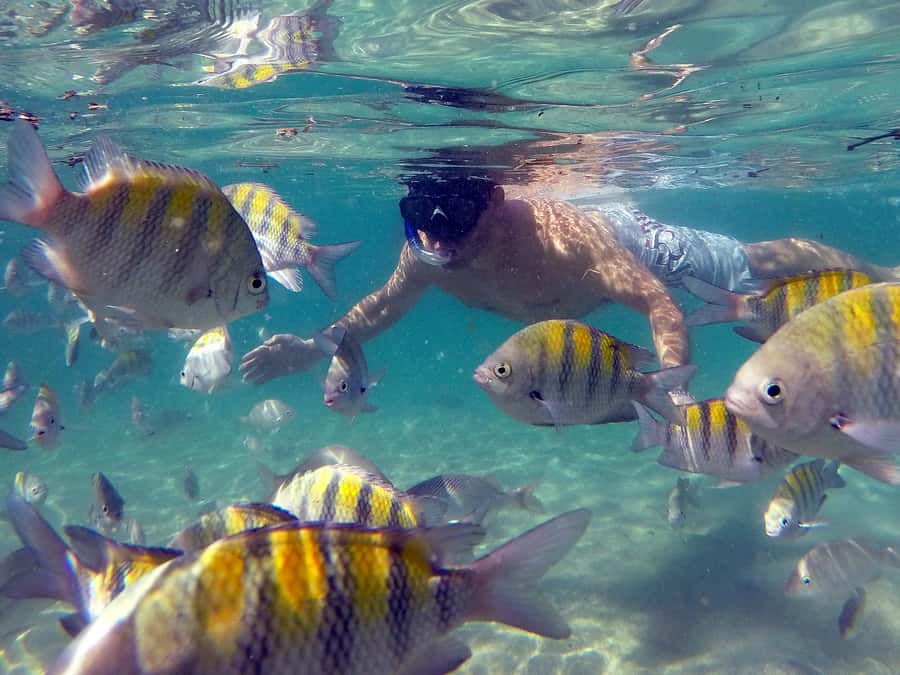 Angra dos Reis and Ilha Grande: Small-Group Fast-Boat Tour - Who will enjoy this tour most?
