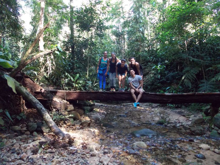 Bico do Papagaio Guided Hiking Tour in the Tijuca Forest - A waterfall finish at Cachoeira das Almas