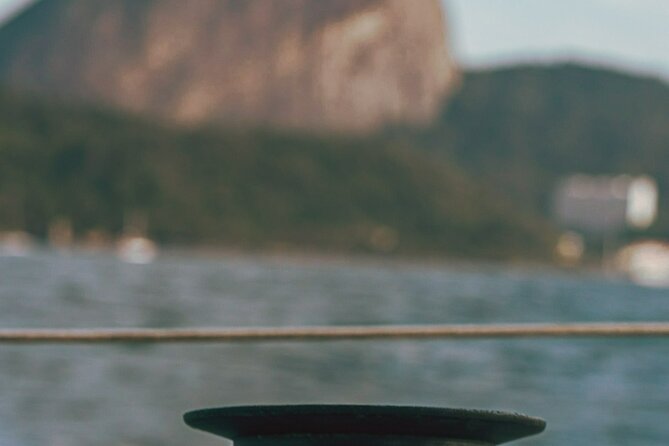 Brunch & Sunset Cruise with Capirinha in Rio - The view from Guanabara Bay