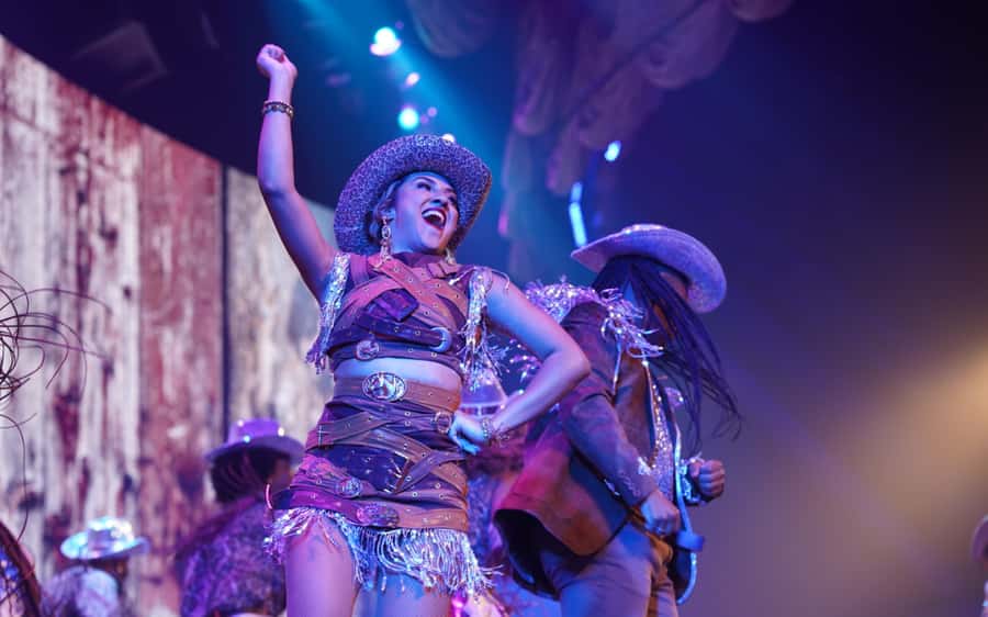 By Night Tour: Roxy Dinner Show & Transfer - Traditional Brazil or modern Rio?