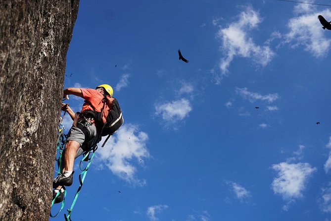 Climb Rio de Janeiro: Rock Climbing Tailored for All Levels - Getting ready with the right equipment