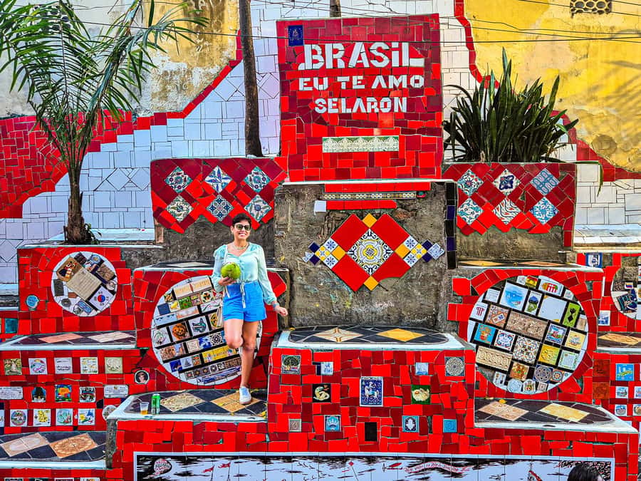 Corcovado, Sugarloaf Mountain, and Selarón Steps 6-Hour Tour - What the guide adds to a packed route