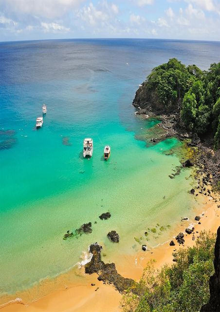 Discover Noronha: 7-Hour Ilhatour Adventure - Key points at a glance