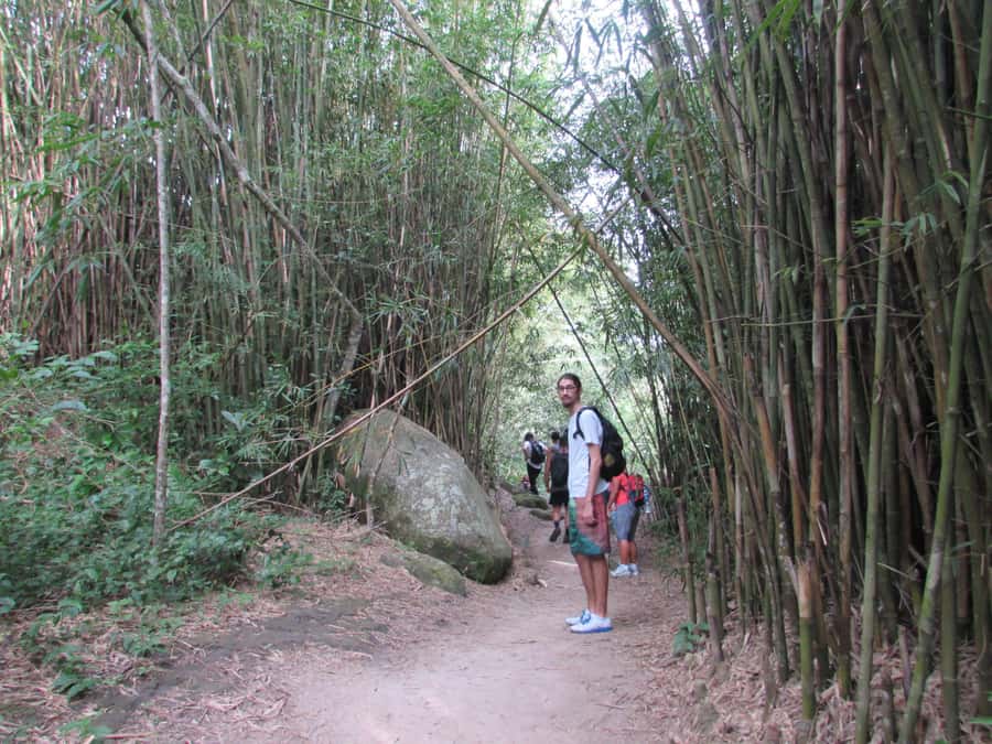 Discover Pedra do Telégrafo: Scenic Hike with Expert Guide - Why Pedra do Telégrafo Is Worth the Climb