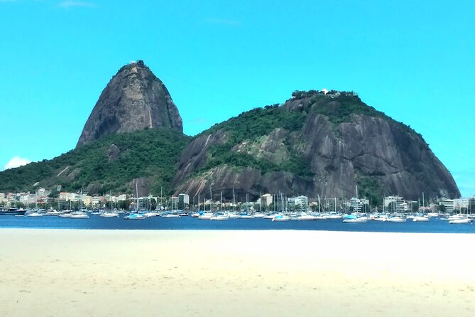 Exclusive Private Rio Tour: Guide & Private Car/Driver - Kobra’s Etnias mural on the waterfront