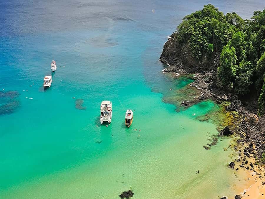 Explore Fernando de Noronha: 7-Hour Ilhatour - What this Fernando de Noronha day actually gives you