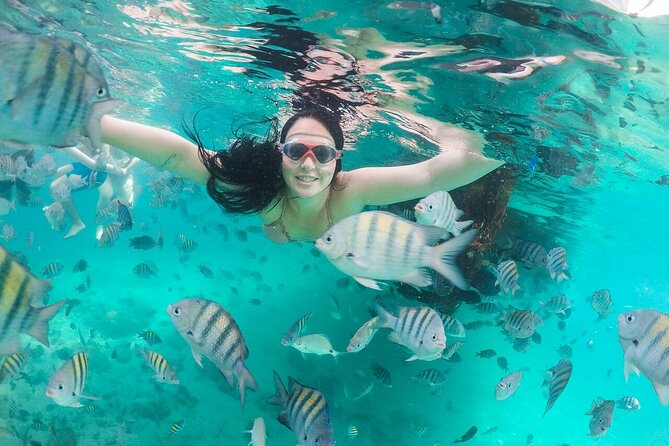 Exploring Angra Dos Reis and Ilha Grande in One Day - Lagoa Verde and the marine life