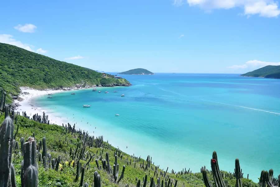 From Rio de Janeiro: Arraial do Cabo Island Day Trip - Why Arraial do Cabo is worth the long ride from Rio