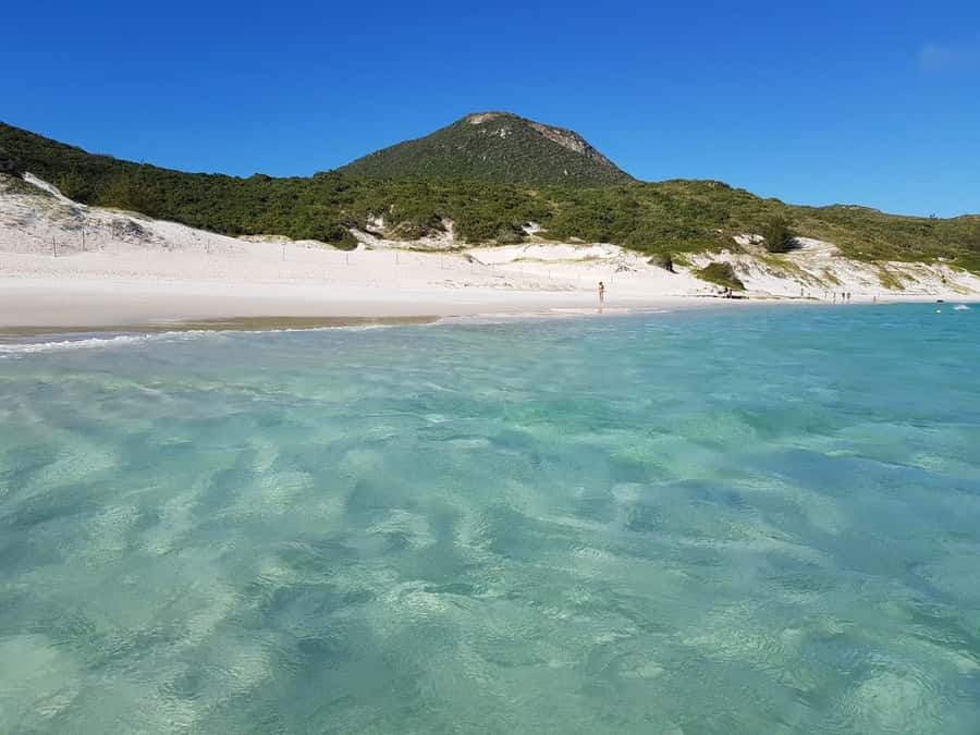 From Rio de Janeiro: Arraial do Cabo Island Day Trip - Praia do Forno and the first clear-water views