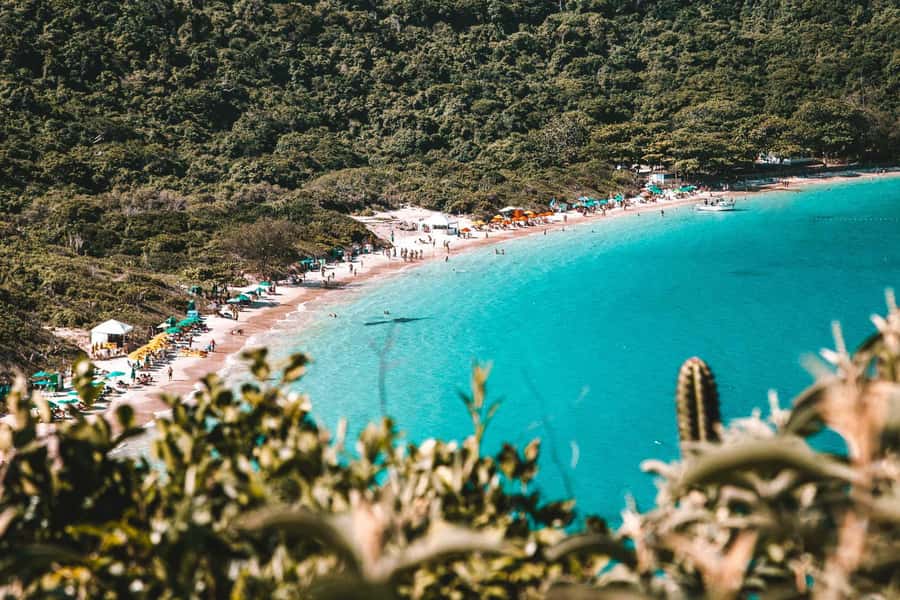 From Rio de Janeiro: Arraial do Cabo Island Day Trip - Lunch with Brazilian dishes included