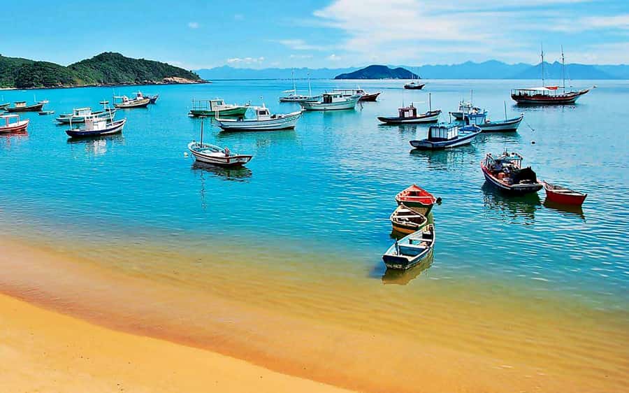 From Rio de Janeiro: Búzios Full-Day Boat Tour - The real value of $69