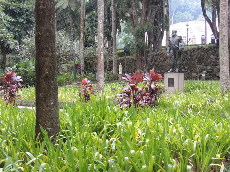 From Rio: Full-Day Tour to The Imperial City of Petrópolis - Tree-lined streets, shopping, and free time