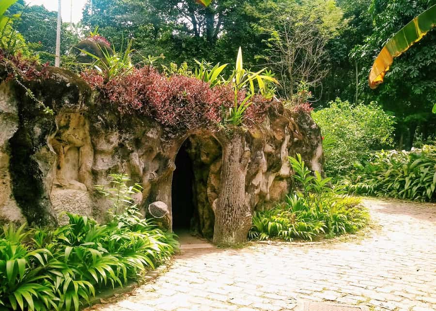 Green Rio: Guided Tour of Botanical Garden and Lage Park - Walking the Botanical Garden’s palm-lined paths
