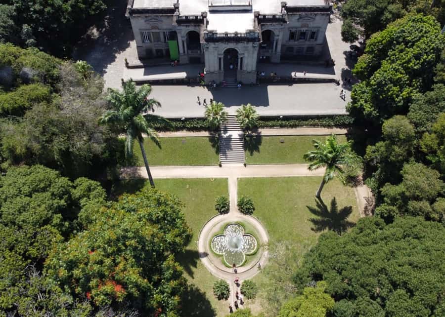 Green Rio: Guided Tour of Botanical Garden and Lage Park - From cultivated gardens to Parque Lage forest