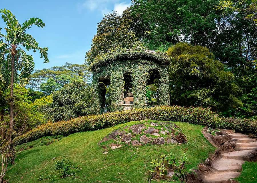 Green Rio: Guided Tour of Botanical Garden and Lage Park - Weather, access, and the realistic limits