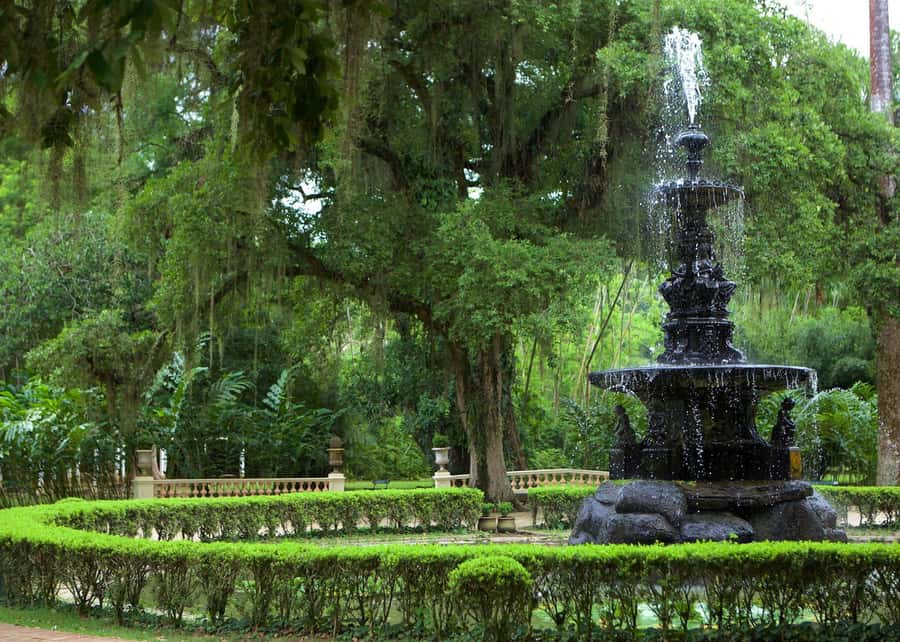 Green Rio: Guided Tour of Botanical Garden and Lage Park - Starting from Rio’s south side