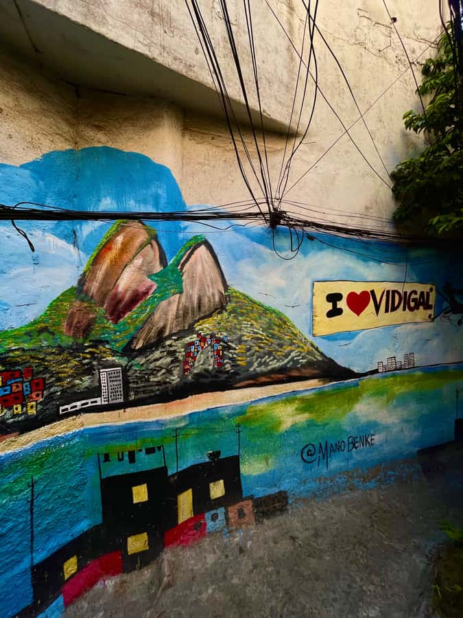 Hike Dois Irmãos + Vidigal Favela Experience - Why Dois Irmãos is more than a viewpoint