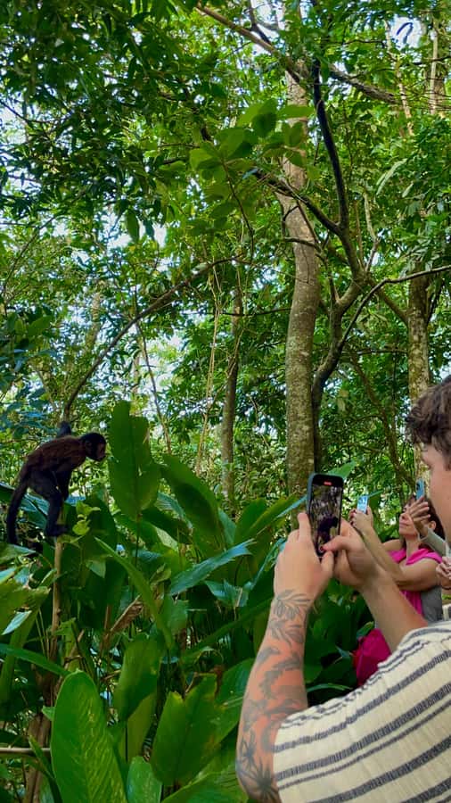 Hike Dois Irmãos + Vidigal Favela Experience - Is $36 good value?