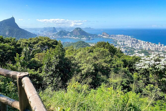 Hiking in the Tijuca Forest : Waterfalls and Caves - Wildlife watching without false promises