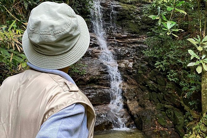 Hiking in the Tijuca Forest : Waterfalls and Caves - Canoas Lookout: your first view over São Conrado