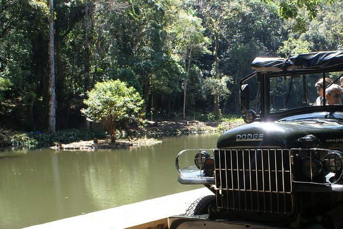 Jeep Adventure: Guided Tour through Tijuca Rain Forest - Rio’s rainforest is only ten minutes away