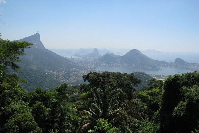 Jeep Adventure: Guided Tour through Tijuca Rain Forest - What the open Jeep adds, and what it does not