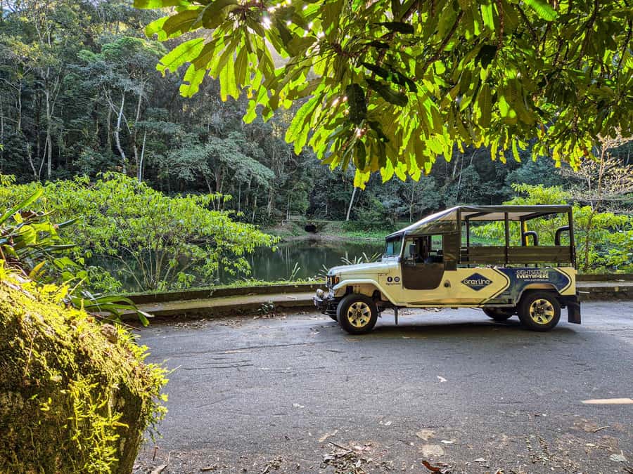 Jeep'n'Culture: Rocinha Favela and Tijuca Rainforest Tour - Why this Rio combination works