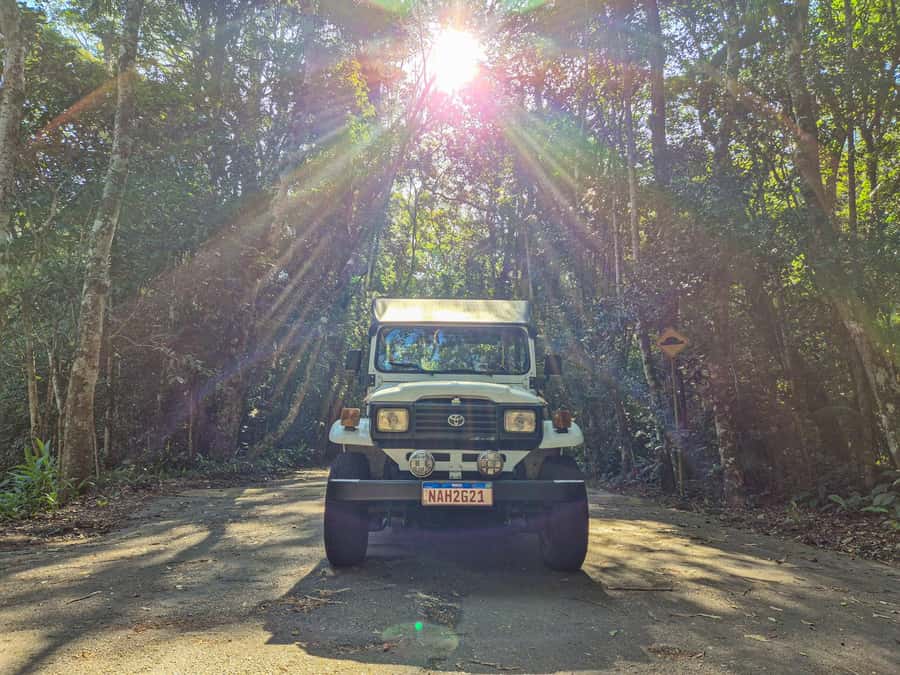 Jeep'n'Culture: Rocinha Favela and Tijuca Rainforest Tour - Guide quality and language choice