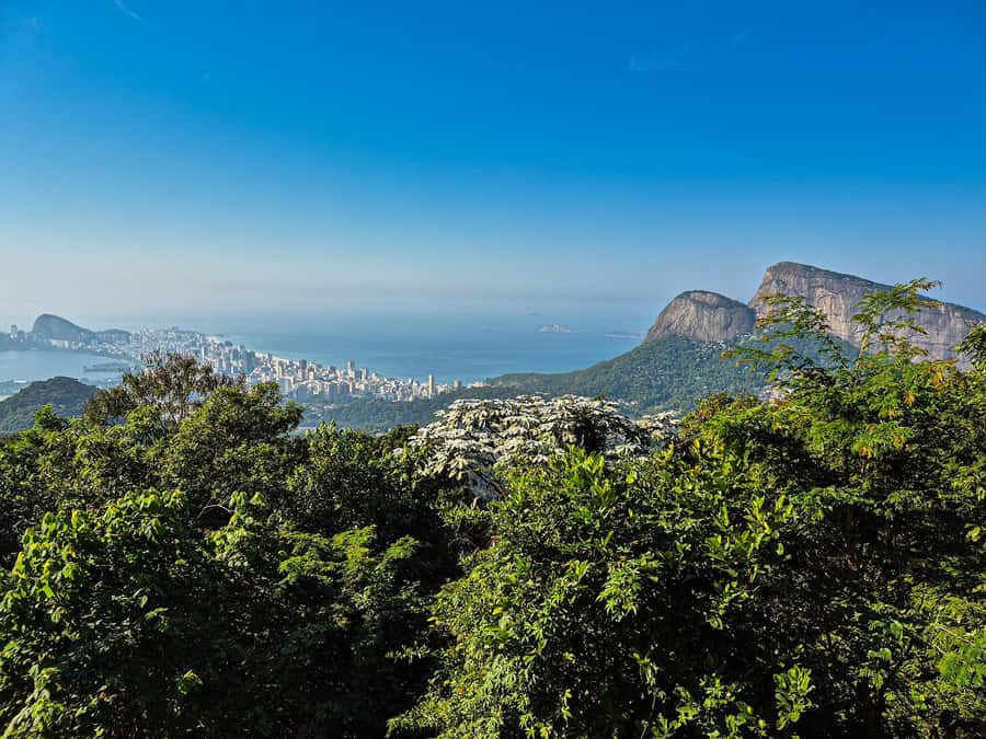 Jeep'n'Culture: Rocinha Favela and Tijuca Rainforest Tour - The two-hour Tijuca Forest visit