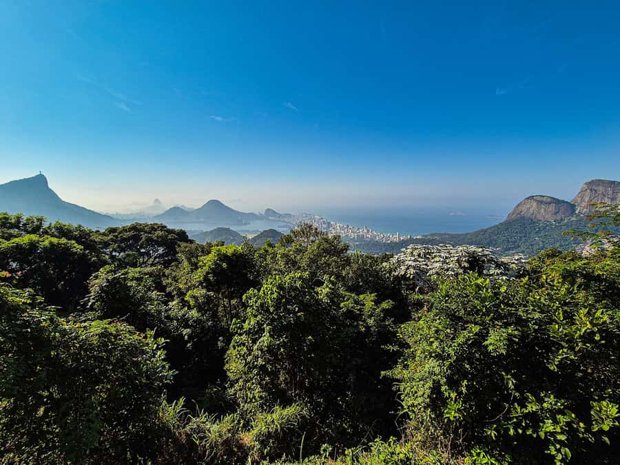 Jeep'n'Green: Rio Botanical Garden & Tijuca Rainforest Tour - Guides, language, and how the day runs