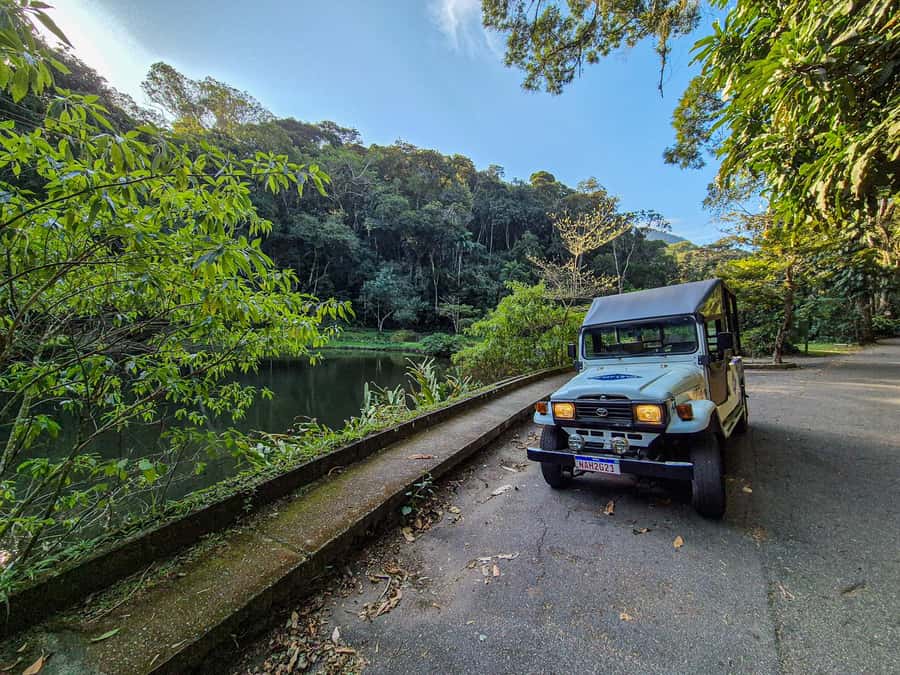 Jeep'n'Green: Rio Botanical Garden & Tijuca Rainforest Tour - Why this tour makes sense in Rio