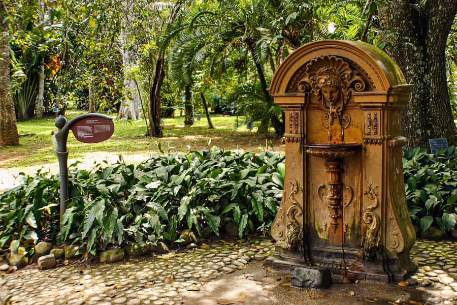 Jeep'n'Green: Rio Botanical Garden & Tijuca Rainforest Tour - Riding into Tijuca’s Atlantic Forest