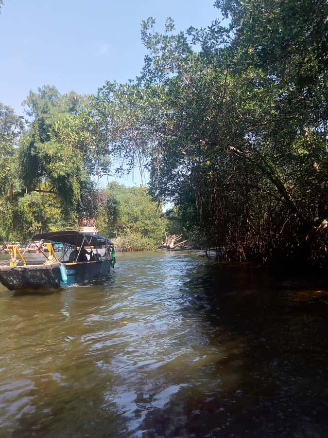 Pantanal of Rio de Janeiro - Key Points