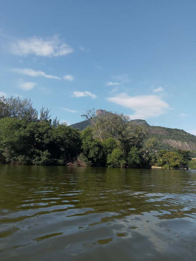 Pantanal of Rio de Janeiro - Rio’s Other Side Begins at Jardim Oceânico