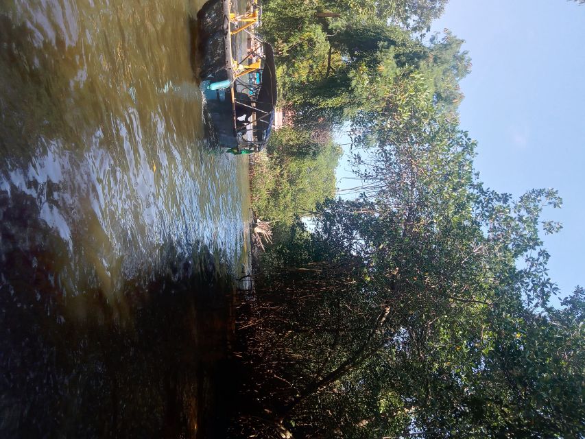 Pantanal of Rio de Janeiro - Useful Planning Notes Before You Go
