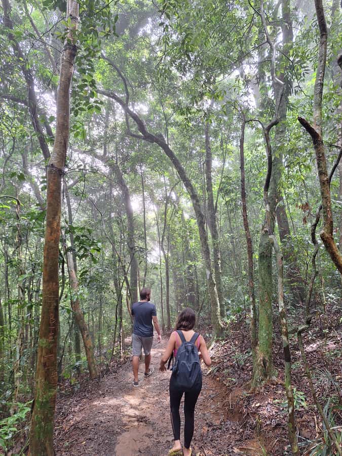 Pedra Bonita Trail: The easiest trail with a beautiful view of Rio - Why Pedra Bonita gives you so much for a short climb