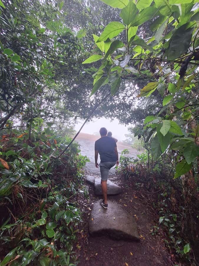 Pedra Bonita Trail: The easiest trail with a beautiful view of Rio - A simple two-hour visit inside a full day