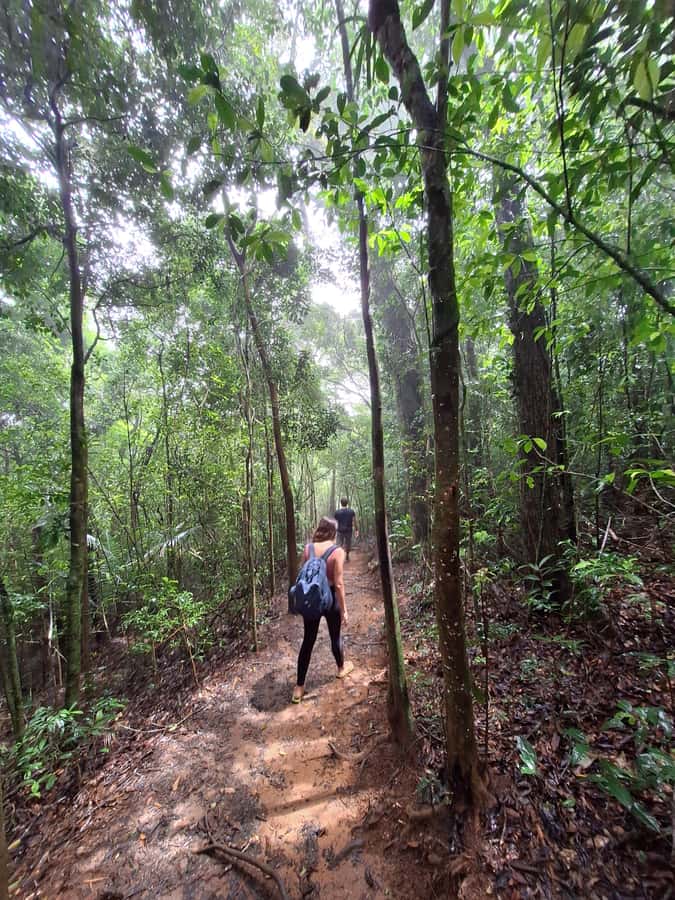 Pedra Bonita Trail: The easiest trail with a beautiful view of Rio - Should you book Pedra Bonita?