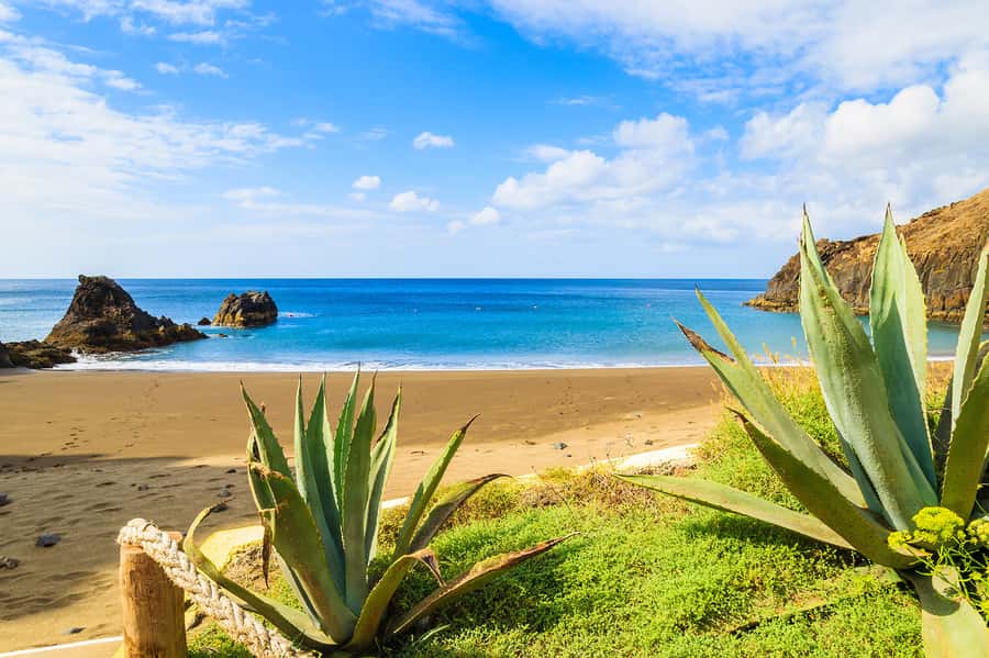 Pedra do Telégrafo Hike and Beach Full-Day Tour - Is $56 a fair price?