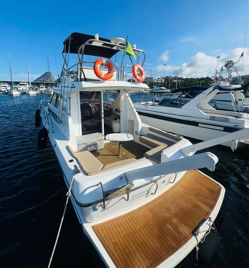 Private speedboat tour in Rio de Janeiro - The Rio coastline from the water