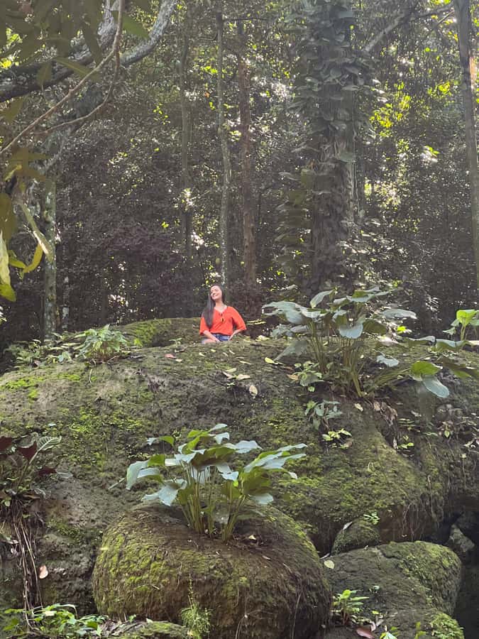 Private Tijuca Forest & Botanical Garden Guided Tour - Key points to know before booking