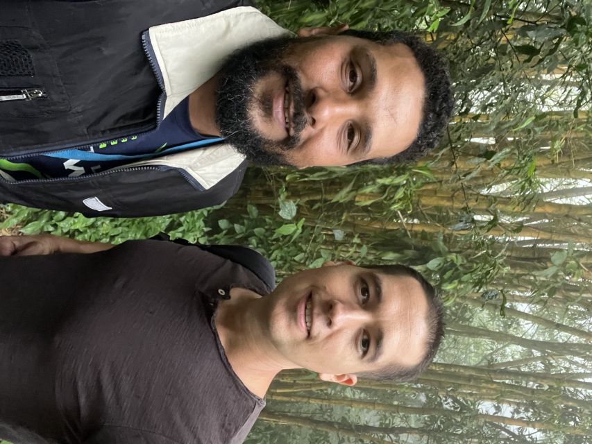 Private Tijuca Forest & Botanical Garden Guided Tour - Cascatinha Taunay and the reward of a short trail