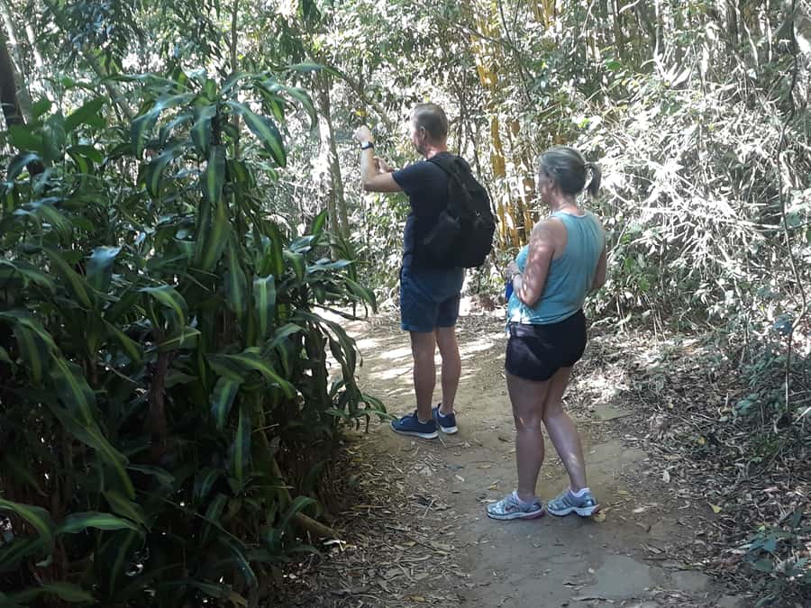 Private Tijuca Forest & Botanical Garden Guided Tour - Private transport makes a difference