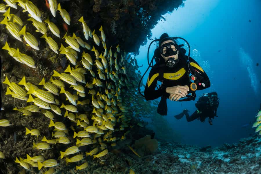 Rio: Best Dive Experience All Inclusive Scuba Diving Package - Why Arraial do Cabo makes the long ride worthwhile