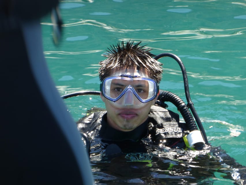 Rio: Best Dive Experience All Inclusive Scuba Diving Package - Food, port fees, and the real price