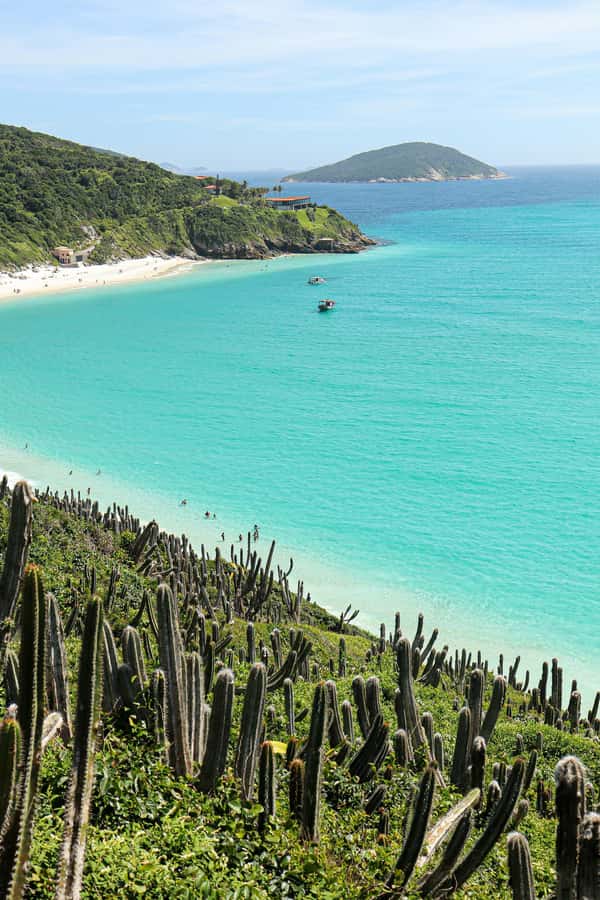 Rio: Best Dive Experience All Inclusive Scuba Diving Package - Wind, visibility, and other practical limits