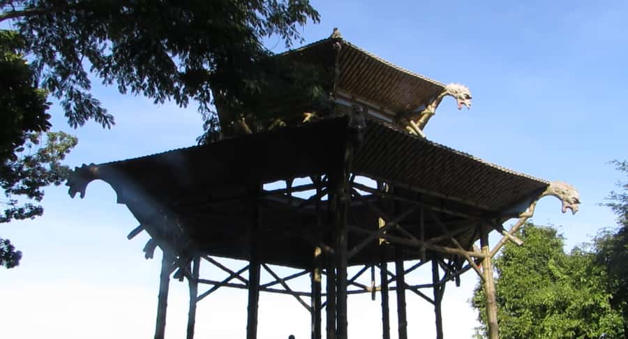 Rio: Botanical Garden, Tijuca Forest, and Parque Lage Tour - Is $104 Good Value for Five Hours?