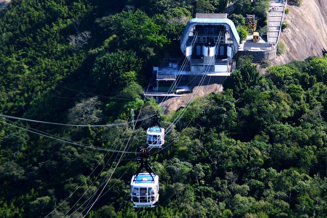 Rio by Day - Main Sights Tour - A fast introduction to Rio’s South Zone beaches